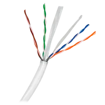 UTP5E-100-CCA